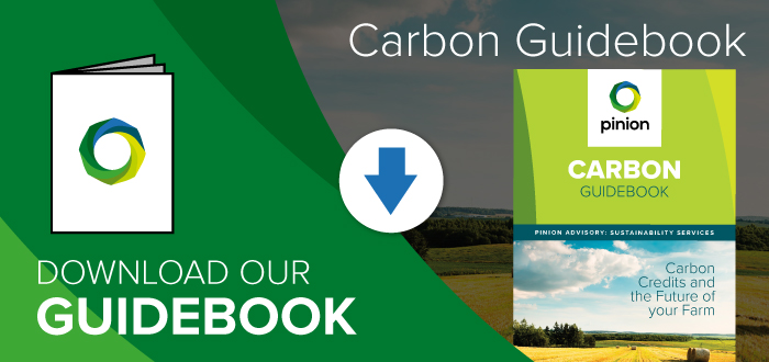 carbon-guidebook-cta-